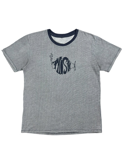 Vintage 90s Phish faded striped stripey band tee (M)
