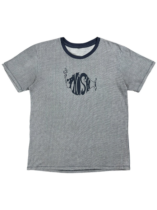 Vintage 90s Phish faded striped stripey band tee (M)