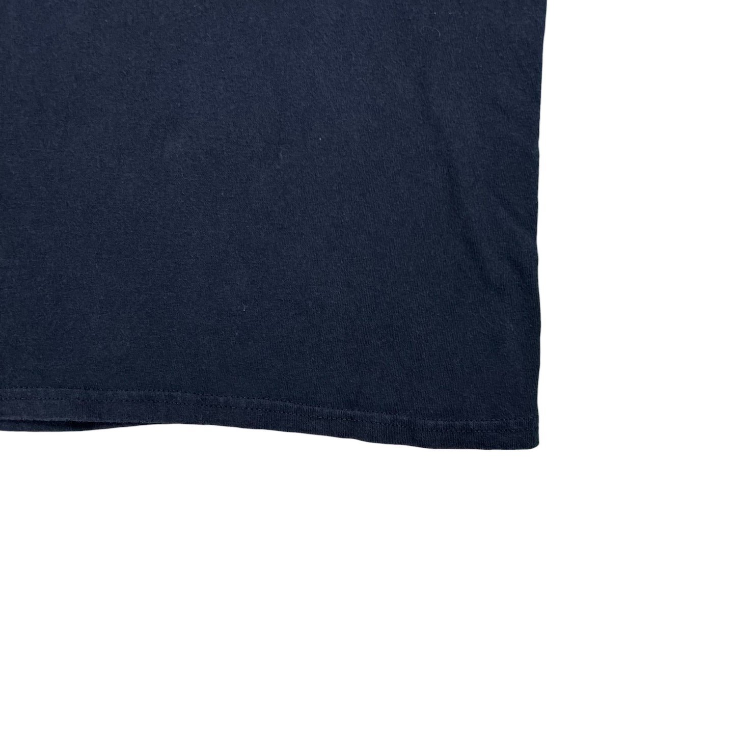 Vintage 2008 Foo Fighters band tee (S)