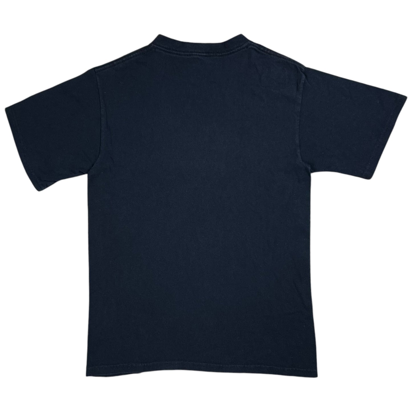 Vintage 2008 Foo Fighters band tee (S)