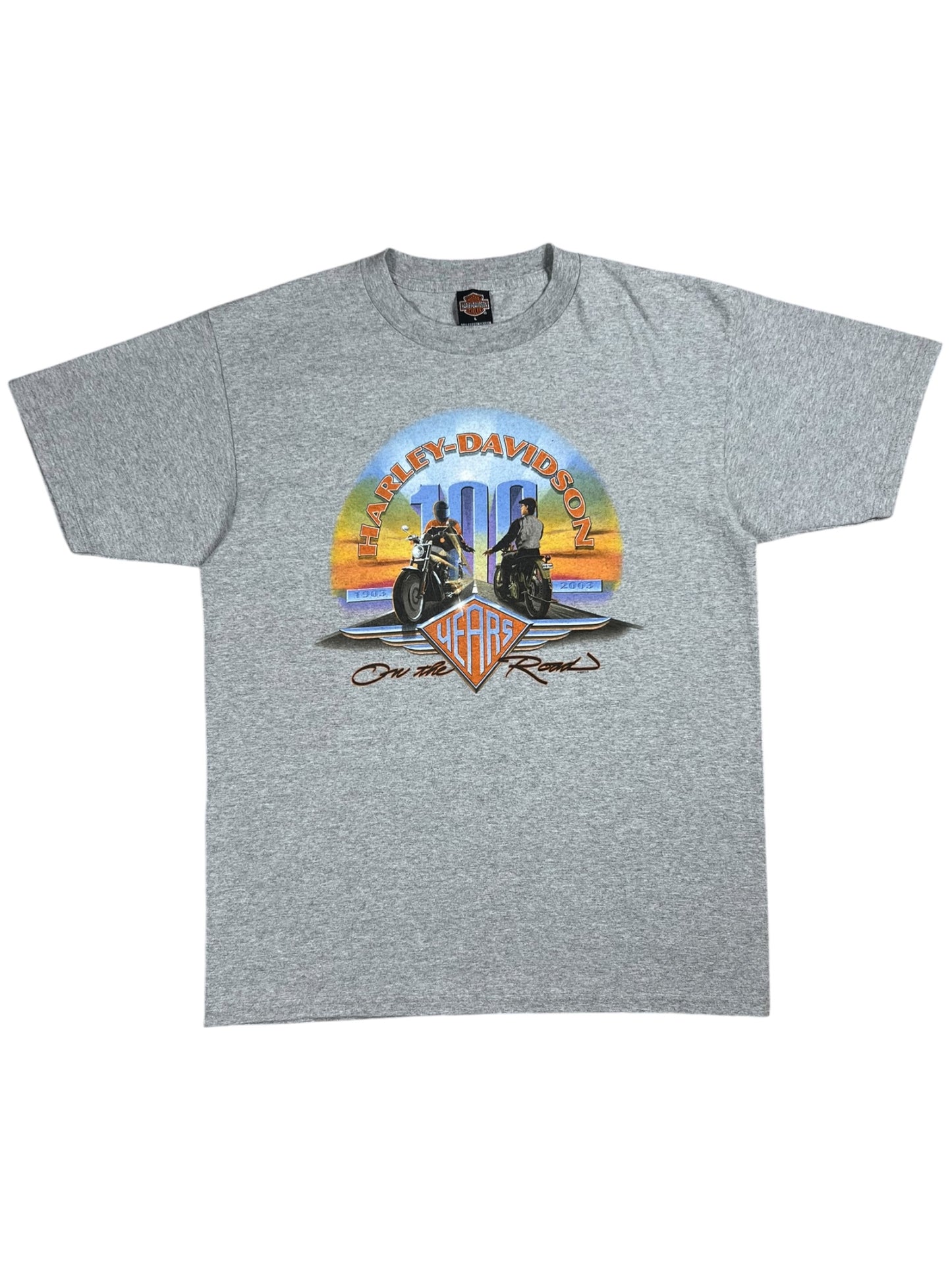 Vintage 2003 Harley Davidson Motorcycles 100 years biker tee (L)