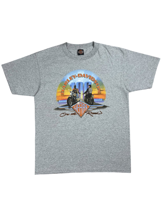 Vintage 2003 Harley Davidson Motorcycles 100 years biker tee (L)