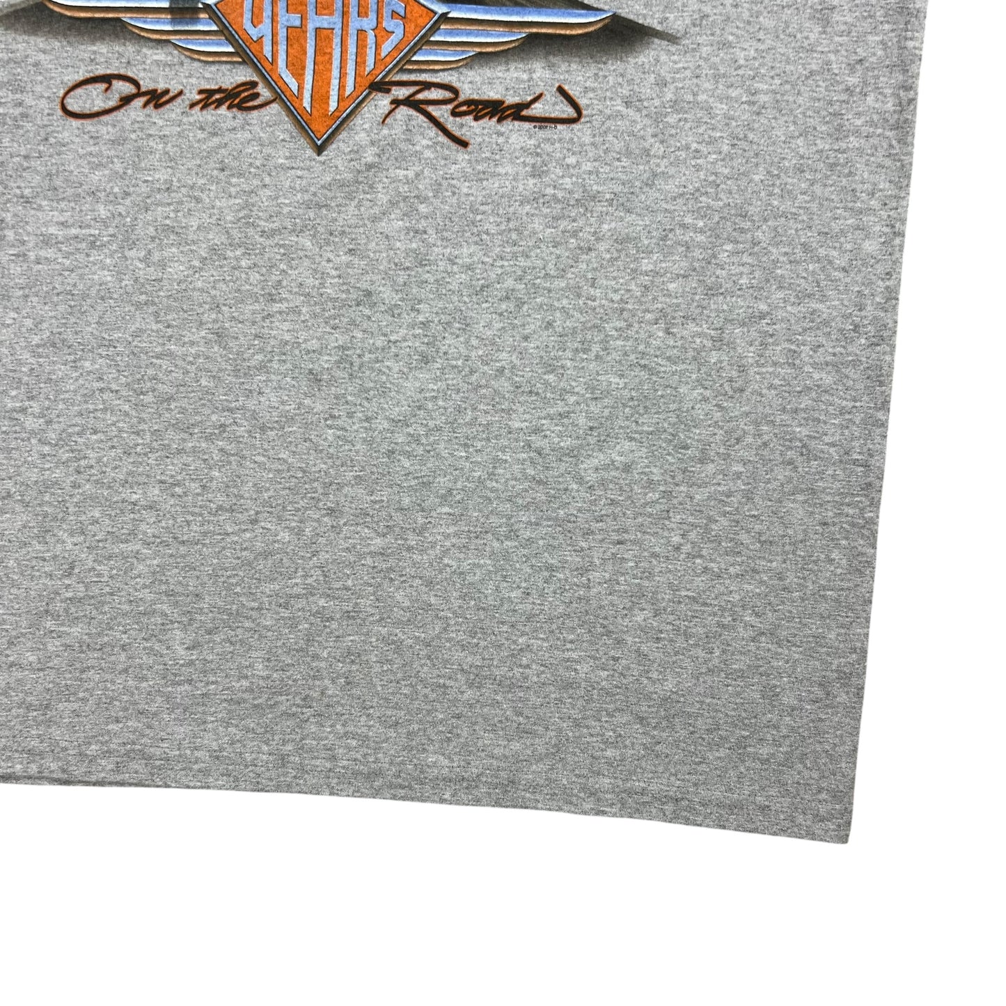 Vintage 2003 Harley Davidson Motorcycles 100 years biker tee (L)