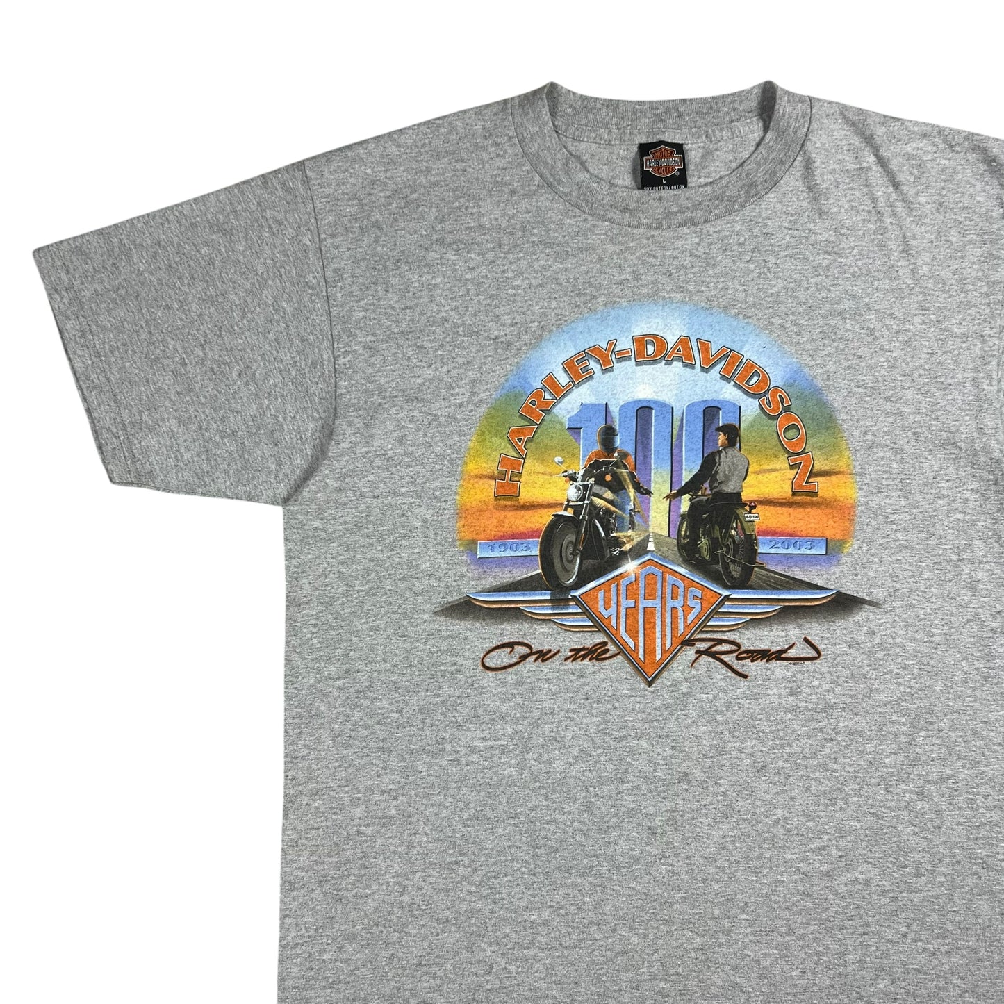 Vintage 2003 Harley Davidson Motorcycles 100 years biker tee (L)