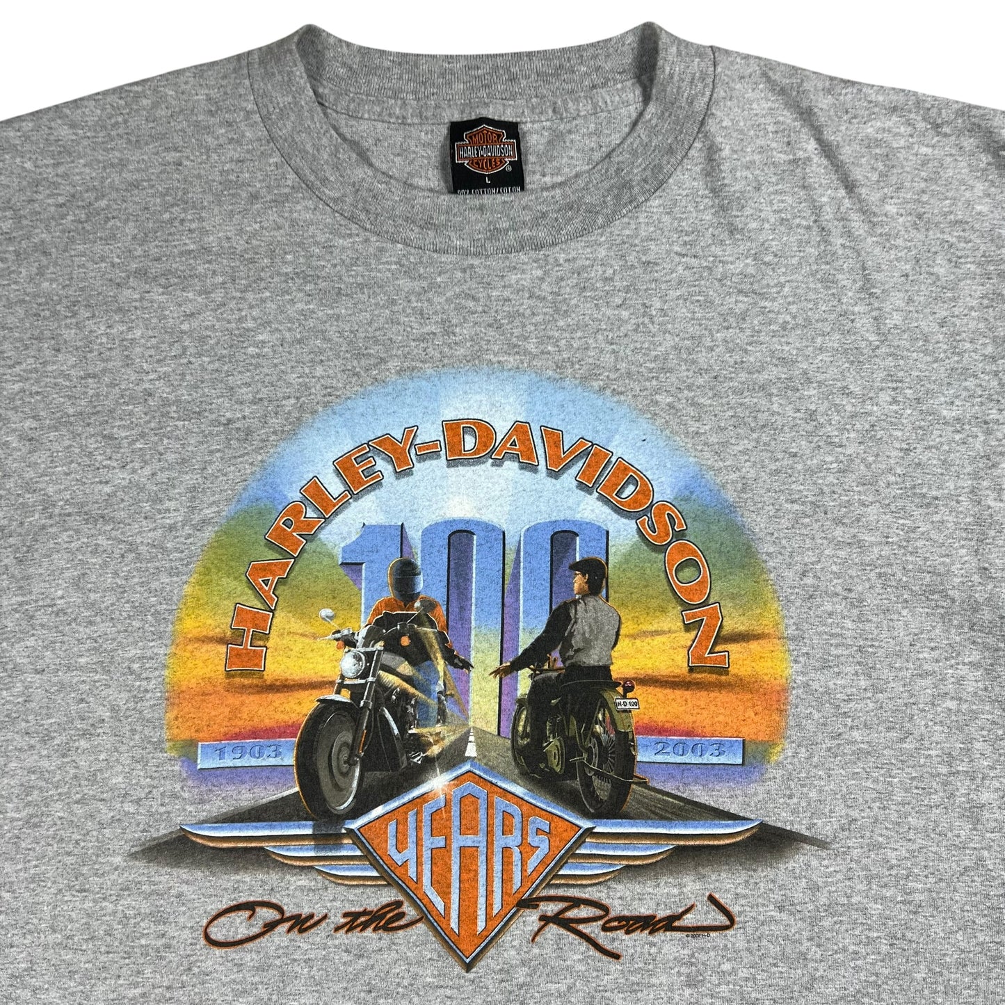 Vintage 2003 Harley Davidson Motorcycles 100 years biker tee (L)
