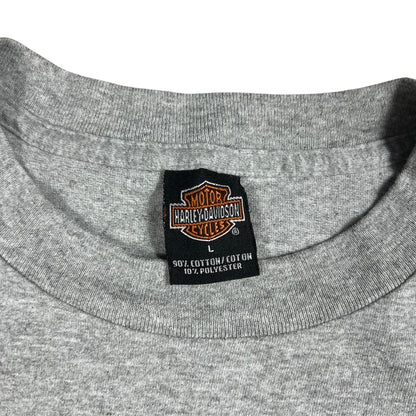 Vintage 2003 Harley Davidson Motorcycles 100 years biker tee (L)