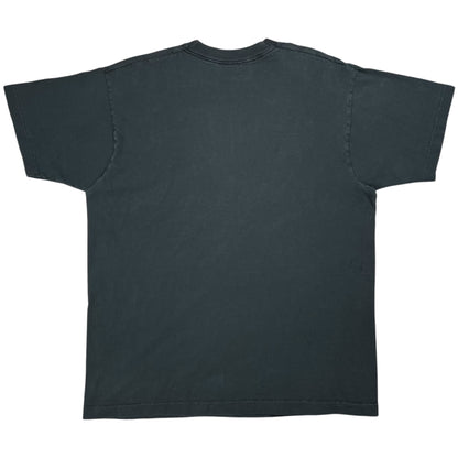 Vintage 1993 Cure For The Blues Washington D.C. faded tee (XL)