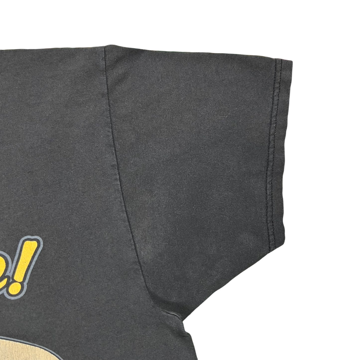 Vintage 1993 Pittsburgh Pirates Looney Tunes Taz Tasmanian Devil faded tee (L)