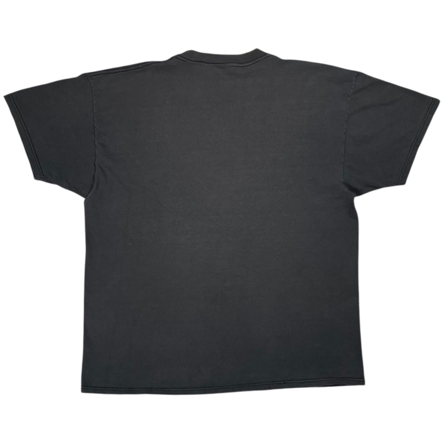 Vintage 1993 Pittsburgh Pirates Looney Tunes Taz Tasmanian Devil faded tee (L)