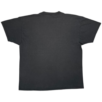 Vintage 1993 Pittsburgh Pirates Looney Tunes Taz Tasmanian Devil faded tee (L)