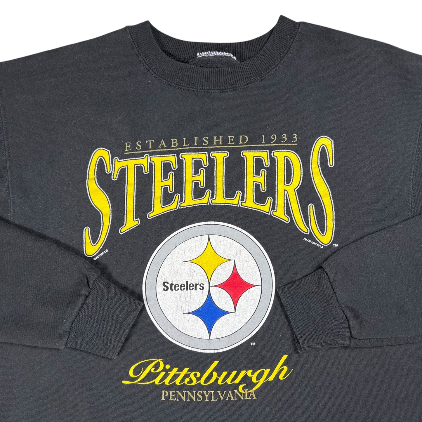 Vintage 1995 Lee Sport Pittsburgh Steelers NFL crewneck (M)