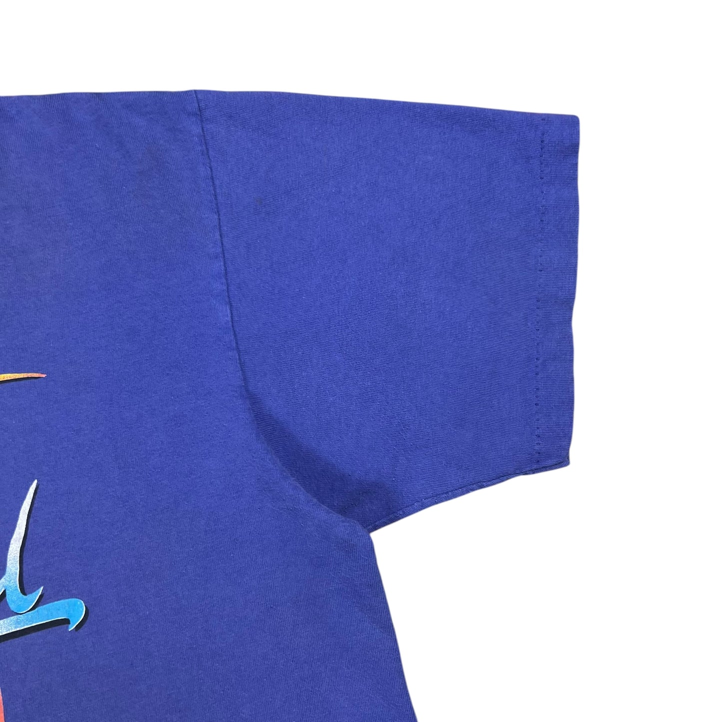 Vintage 1991 Harley Davidson Wings of Steel Eagle faded purple biker tee (L)