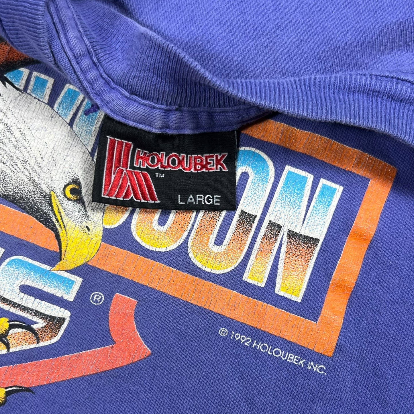 Vintage 1991 Harley Davidson Wings of Steel Eagle faded purple biker tee (L)