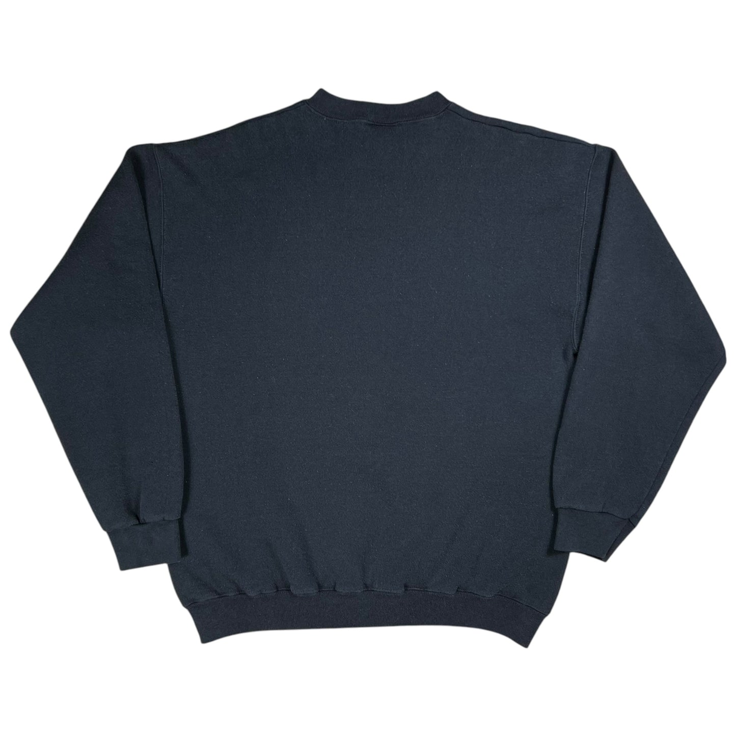 Vintage Y2K Big Bird Sesame Street’s 37th Season Crewneck (L)