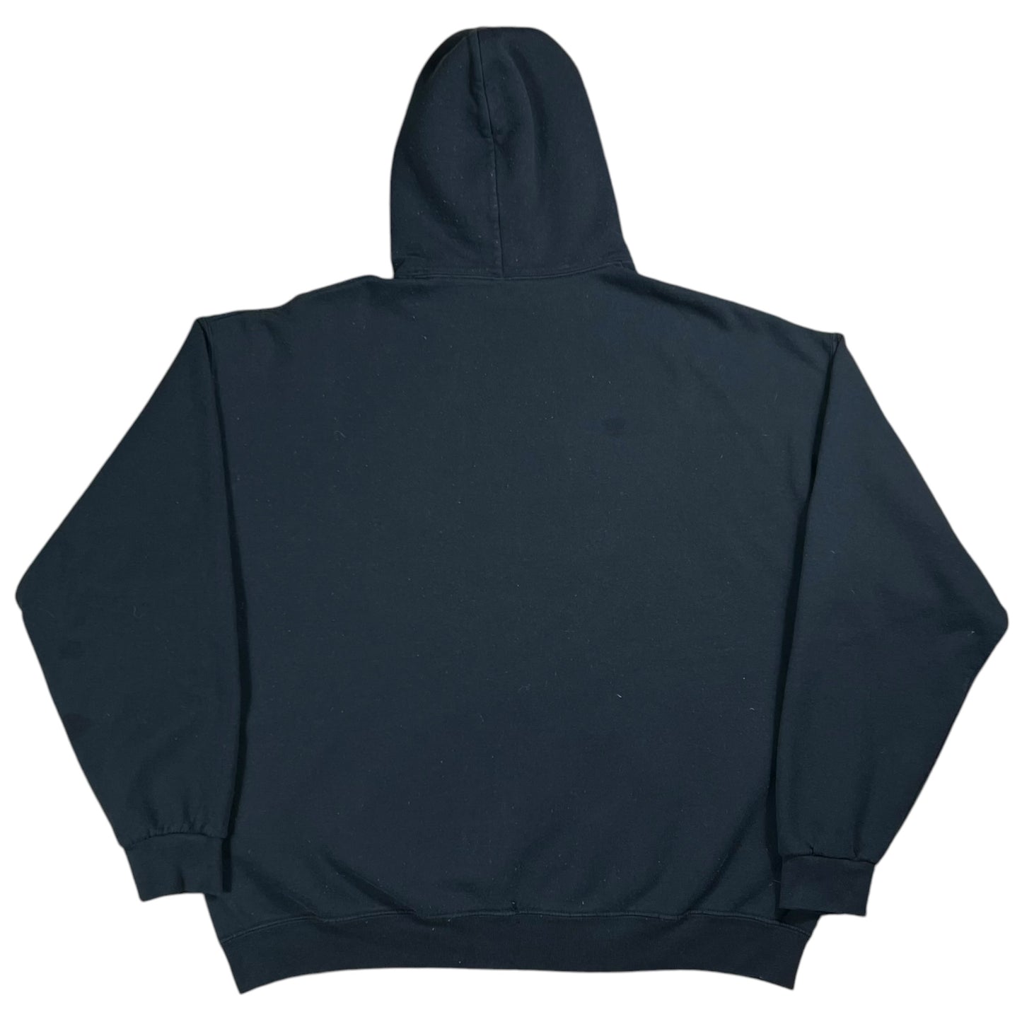 Y2K Lana Del Rey sailing hoodie (XL)