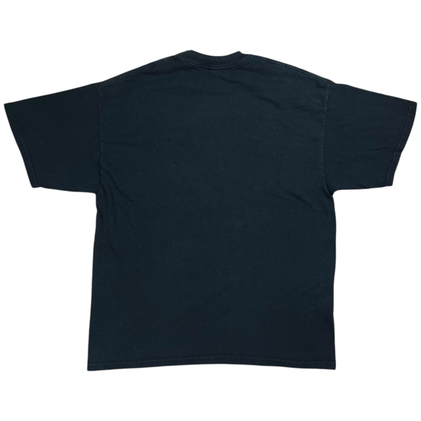Vintage Y2K Baha Men Who Let The Dogs Out? Rap tee (L)