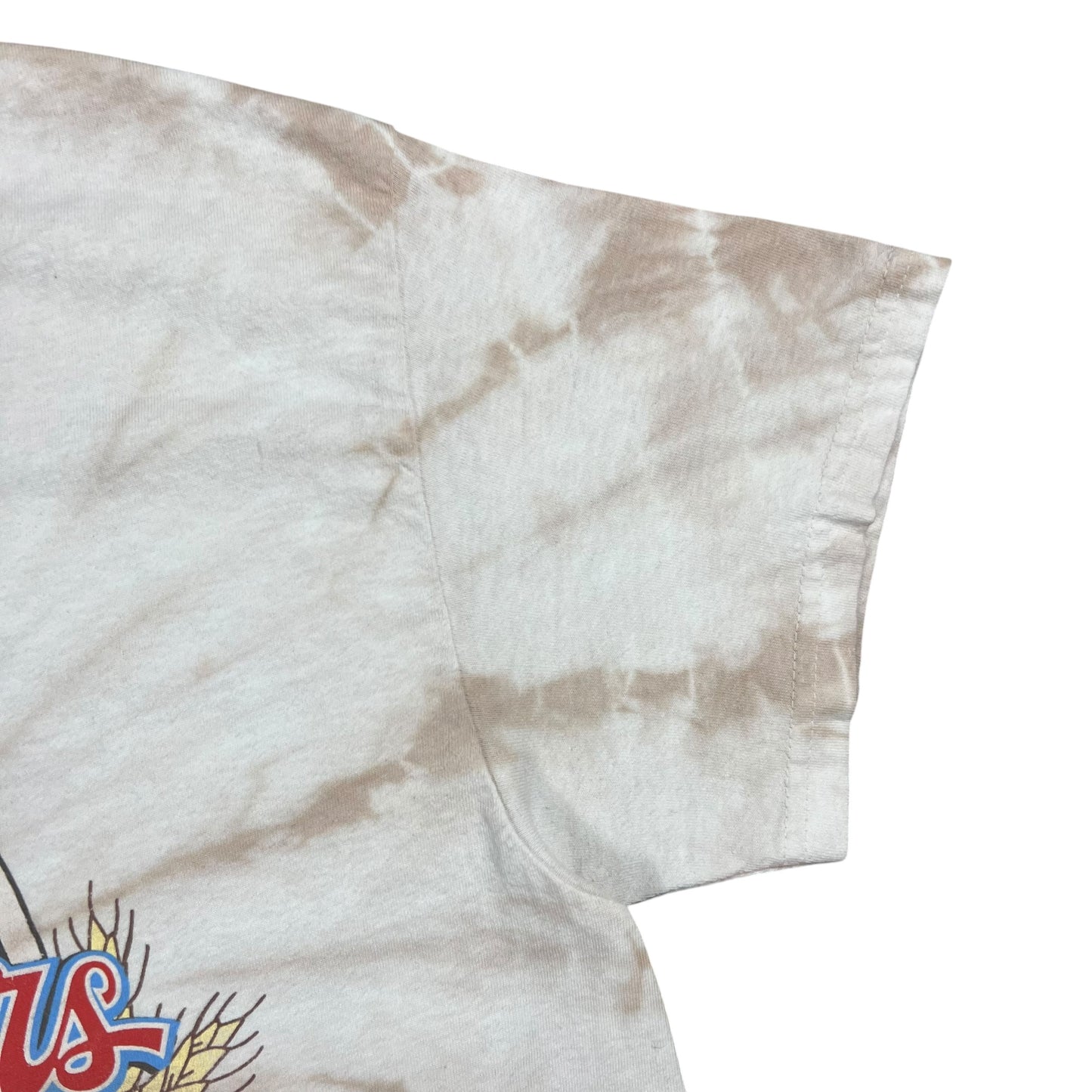 Y2K The Lumineers since 2009 tie dye band tee (L)
