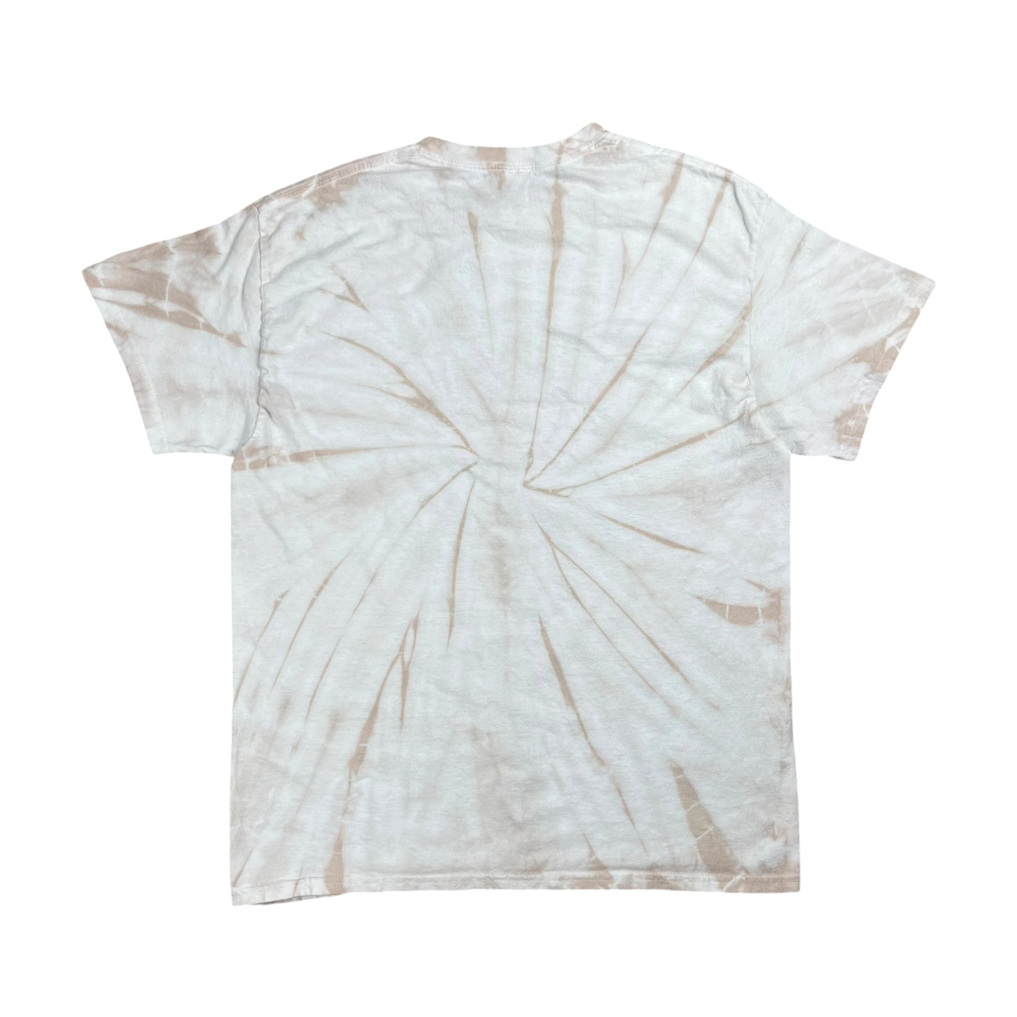 Y2K The Lumineers since 2009 tie dye band tee (L)