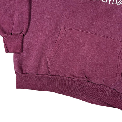 Vintage 1970s Indiana University of Pittsburgh IUP faded hoodie (M)