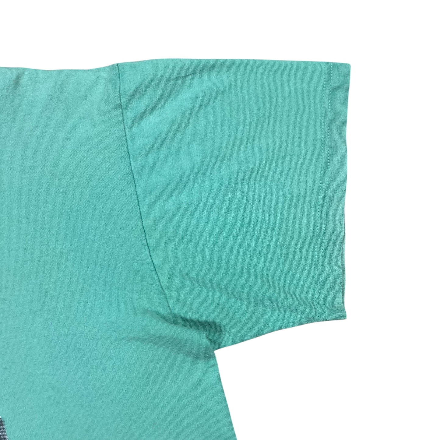 Vintage Y2K Stussy King of the Jungle Los Angeles faded tee (XL)