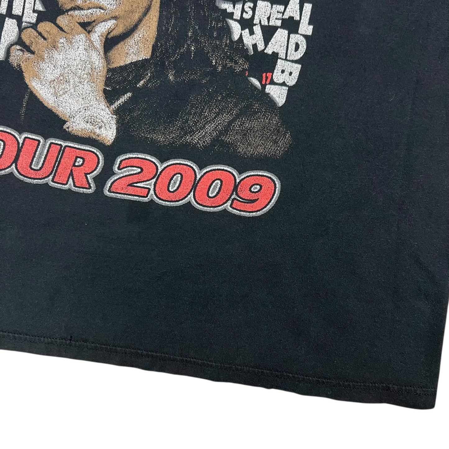 2009 Lil Wayne America’s Most Wanted tour faded rap tee (L)