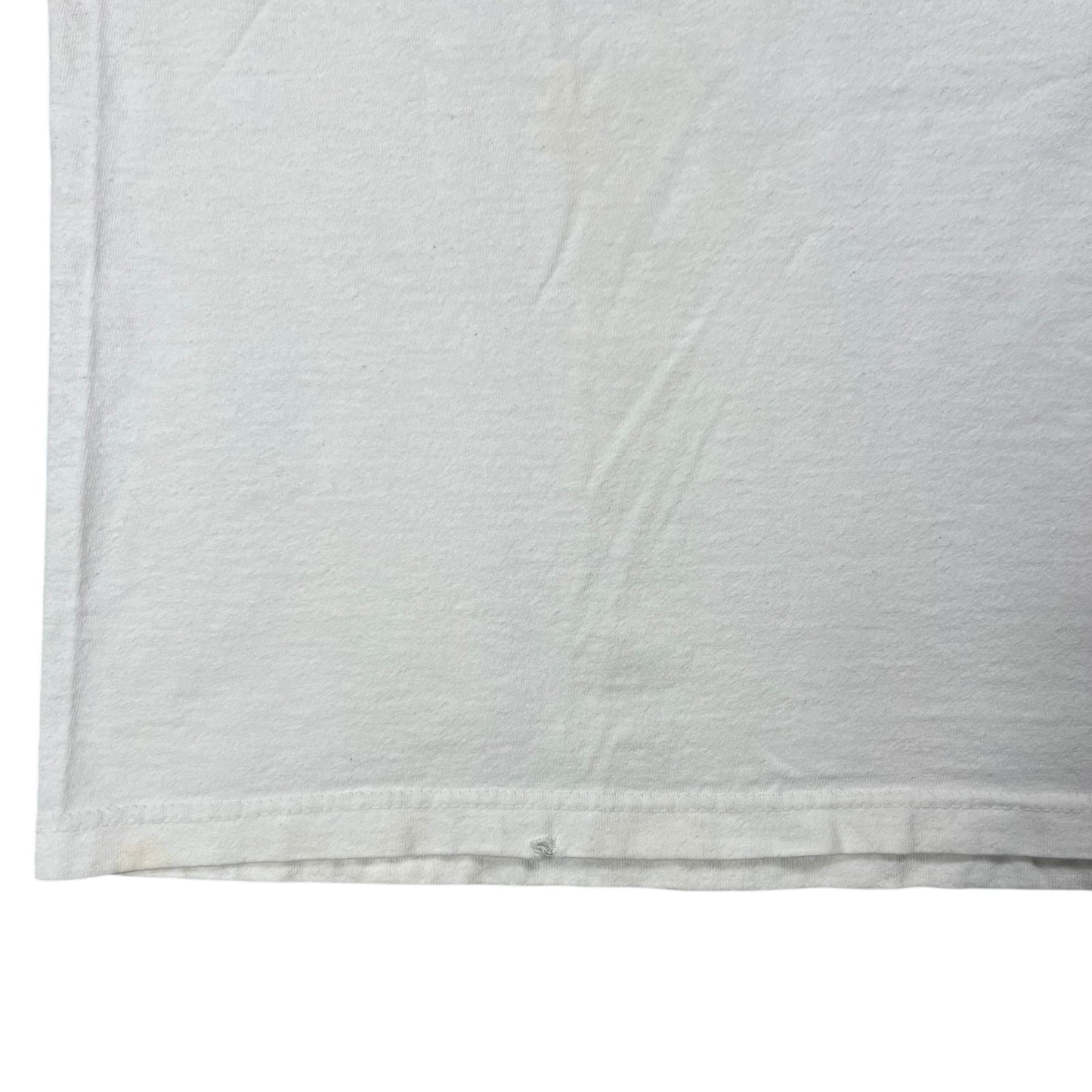 Vintage 1998 HORDE Festival Gov’t Mule band tee (L)