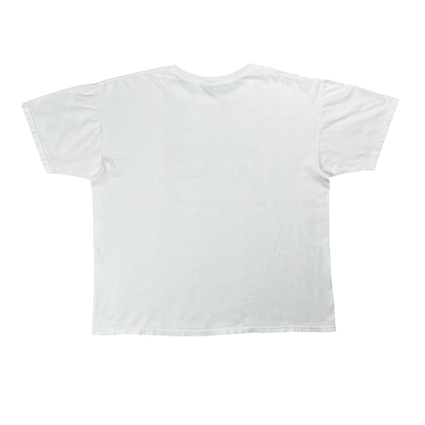 Vintage Y2K Teddy Bruschi New England Patriots Beer tee (XXL)