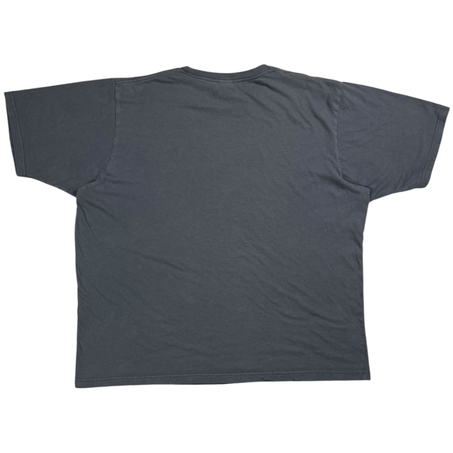 Vintage 2005 Pink Floyd Flocked Pig faded band tee (XL)