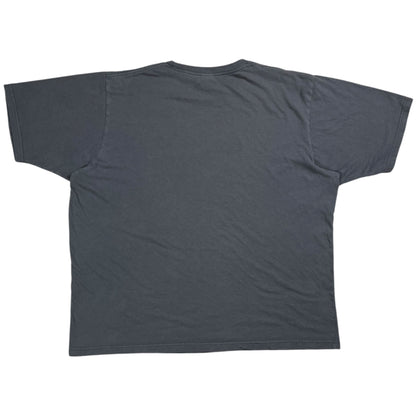 Vintage 2005 Pink Floyd Flocked Pig faded band tee (XL)