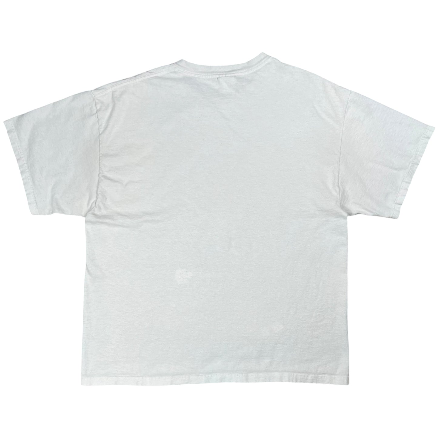 Vintage Y2K FRIENDS DON’T LET FRIENDS VOTE REPUBLICAN tee (L)