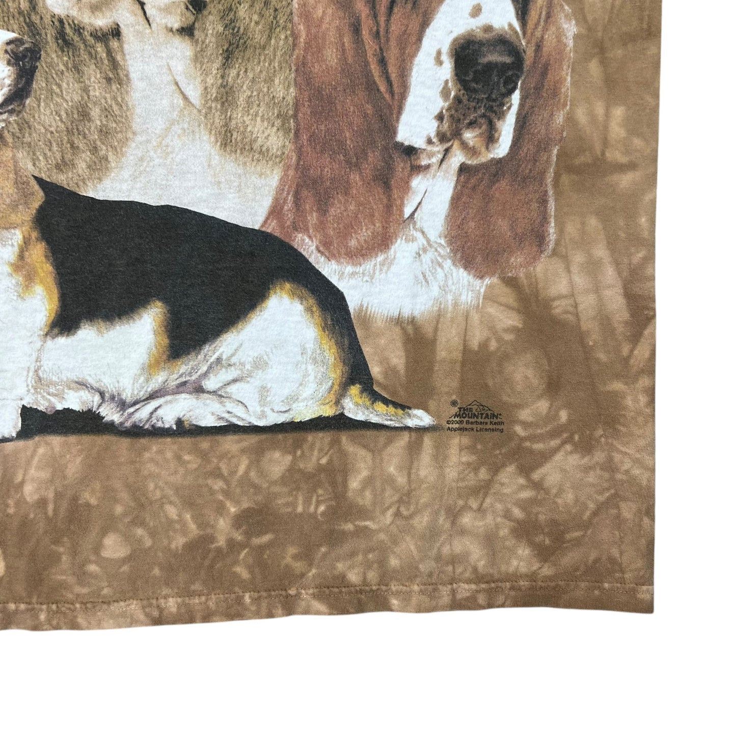 Vintage 2000 The Mountain dogs tie dye faded tee (L)