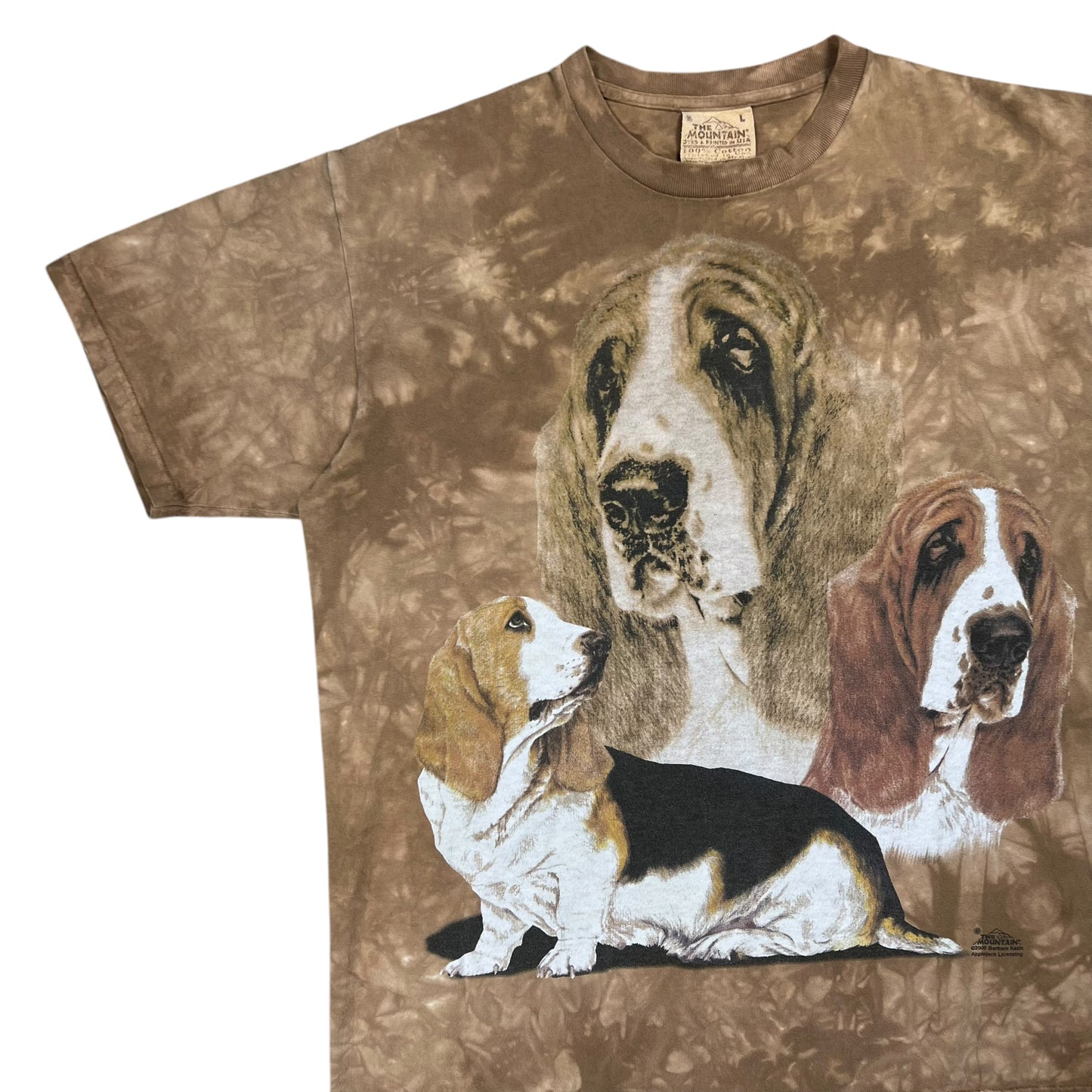 Vintage 2000 The Mountain dogs tie dye faded tee (L)