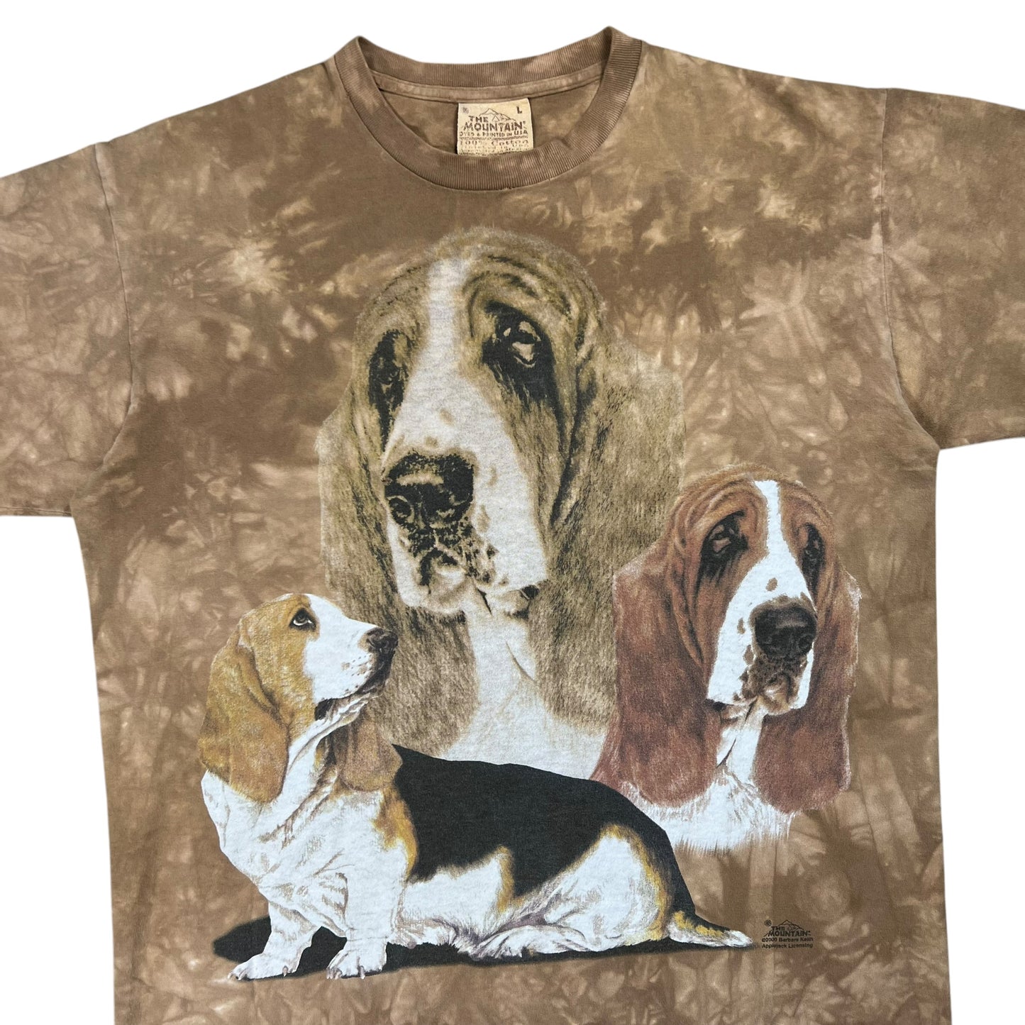Vintage 2000 The Mountain dogs tie dye faded tee (L)