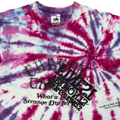 Vintage 90s Grateful Dead Cherry Garcia Ben & Jerry’s TEST PRINT tie dye tee (M)
