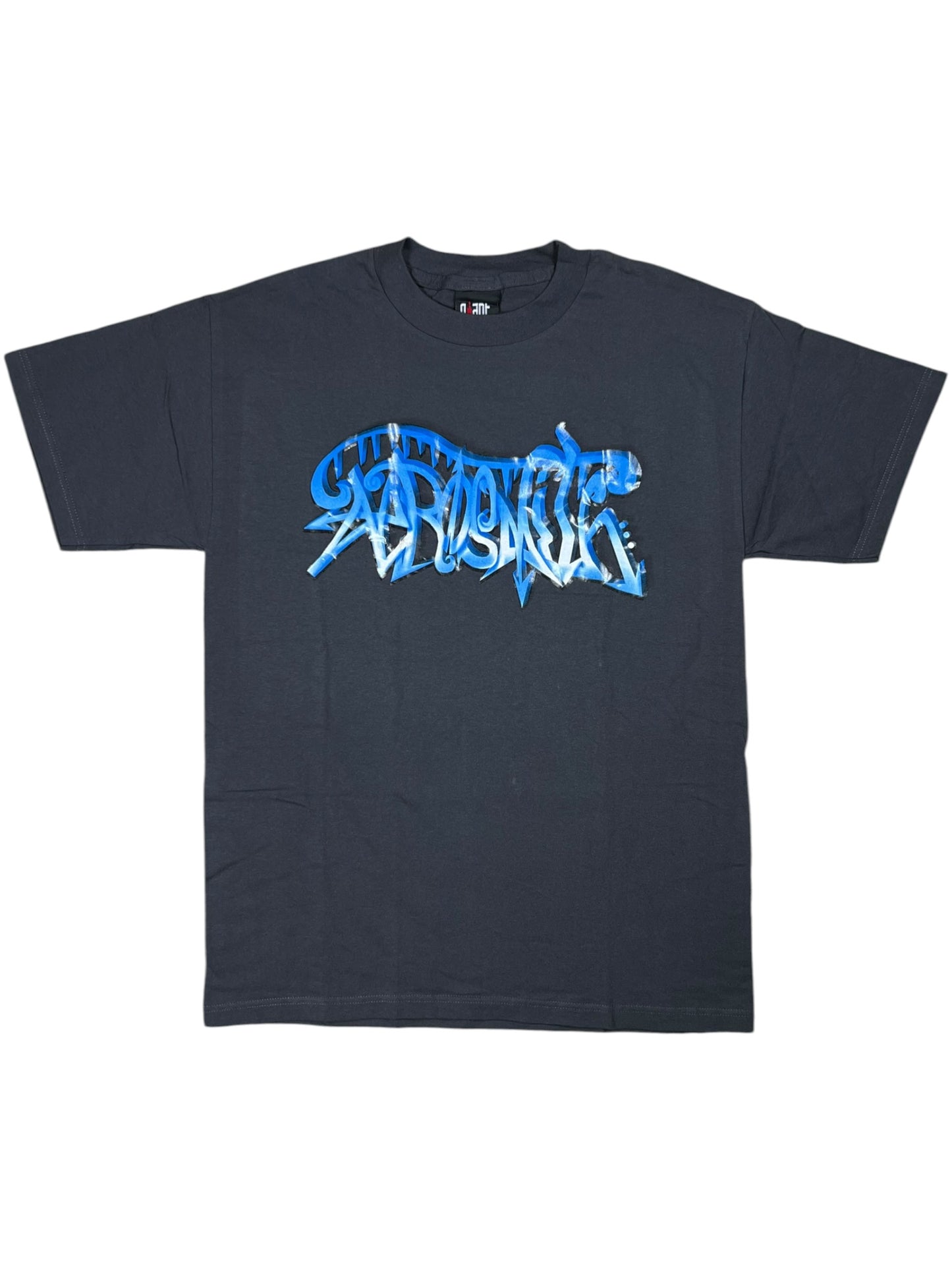 Vintage 2002 GIANT Aerosmith band tee (M)