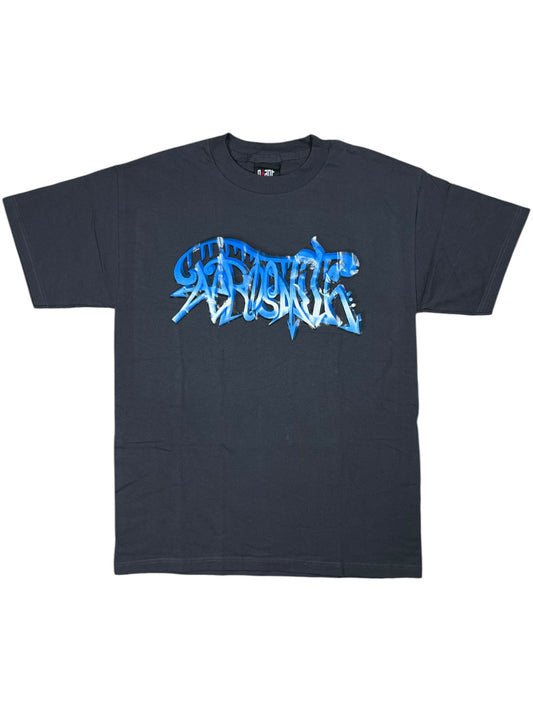 Vintage 2002 GIANT Aerosmith band tee (M)
