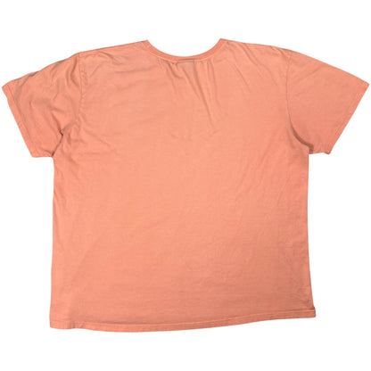 Vintage 90s Polo Sport Ralph Lauren POLO faded tee (XL)
