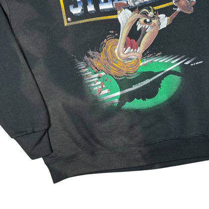 Vintage 1995 Pittsburgh Steelers Tasmanian Devil Taz faded crewneck (XL)