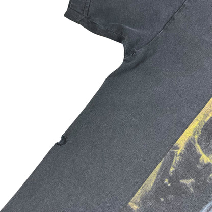 Vintage 2006 The Grammy Awards faded music tee (L)