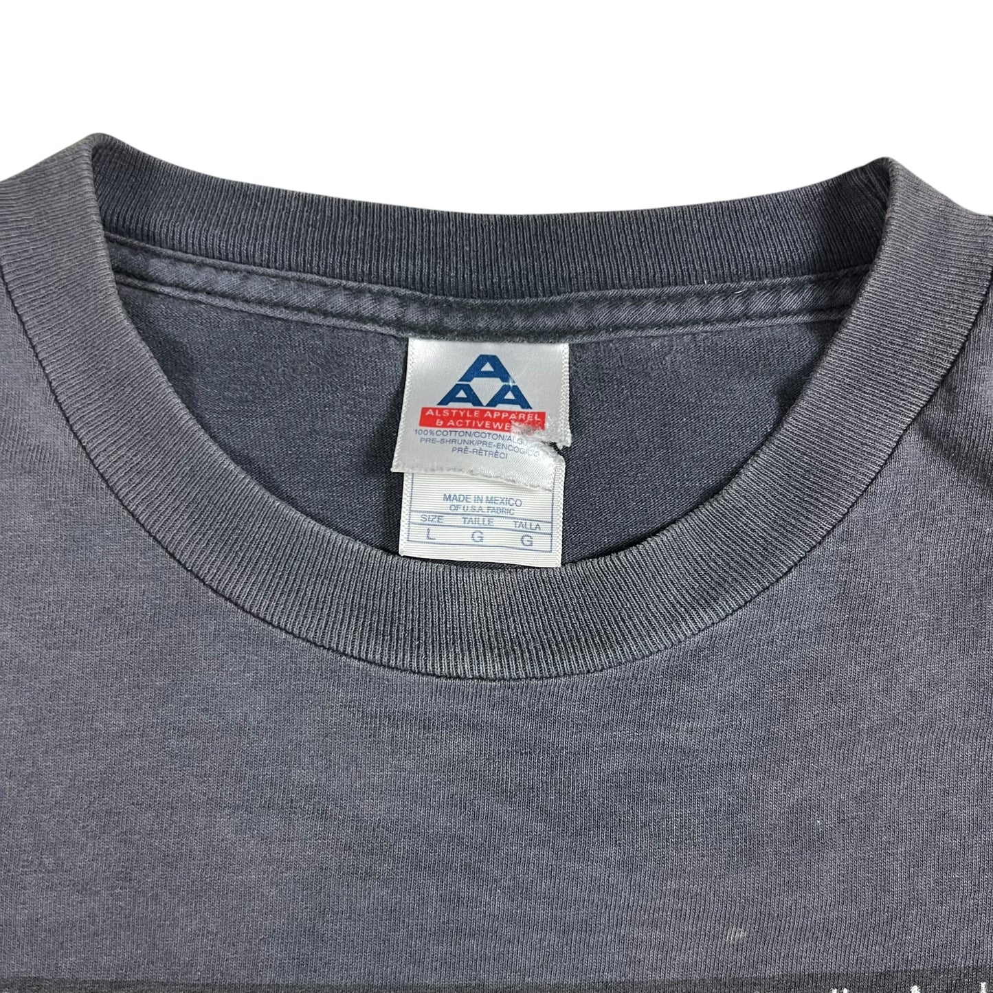 Vintage 2006 The Grammy Awards faded music tee (L)