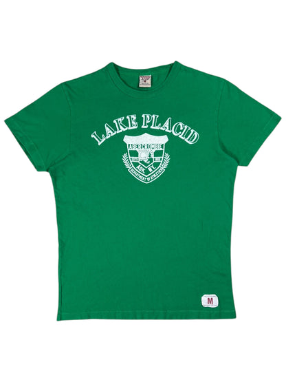Vintage Y2K Abercrombie & Fitch Lake Placid “flock print” 1970s style tee (M)