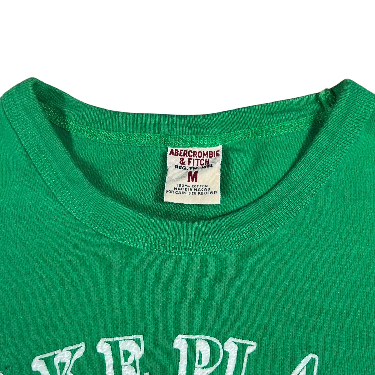 Vintage Y2K Abercrombie & Fitch Lake Placid “flock print” 1970s style tee (M)