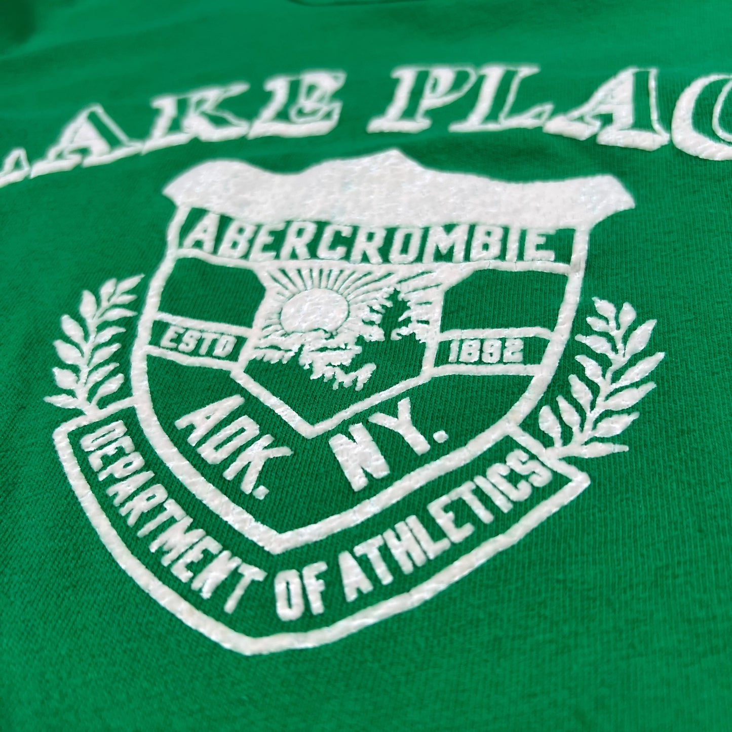 Vintage Y2K Abercrombie & Fitch Lake Placid “flock print” 1970s style tee (M)