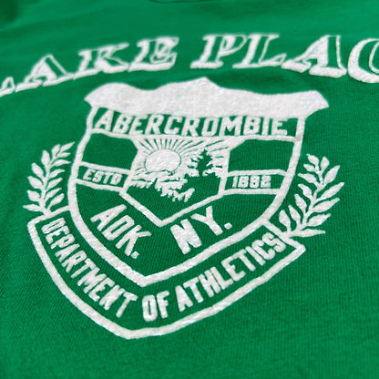 Vintage Y2K Abercrombie & Fitch Lake Placid “flock print” 1970s style tee (M)