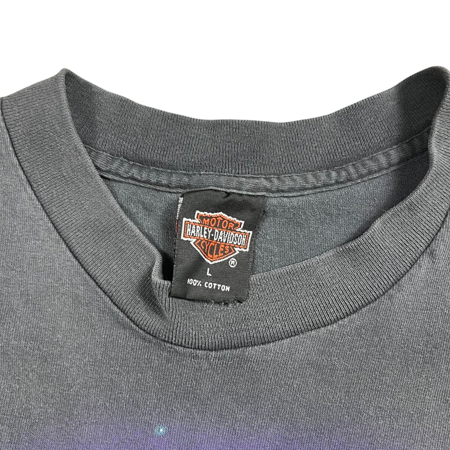 Vintage 90s Harley Davidson Motorcycles Eagle vs Dragon faded black Apple tee (L)