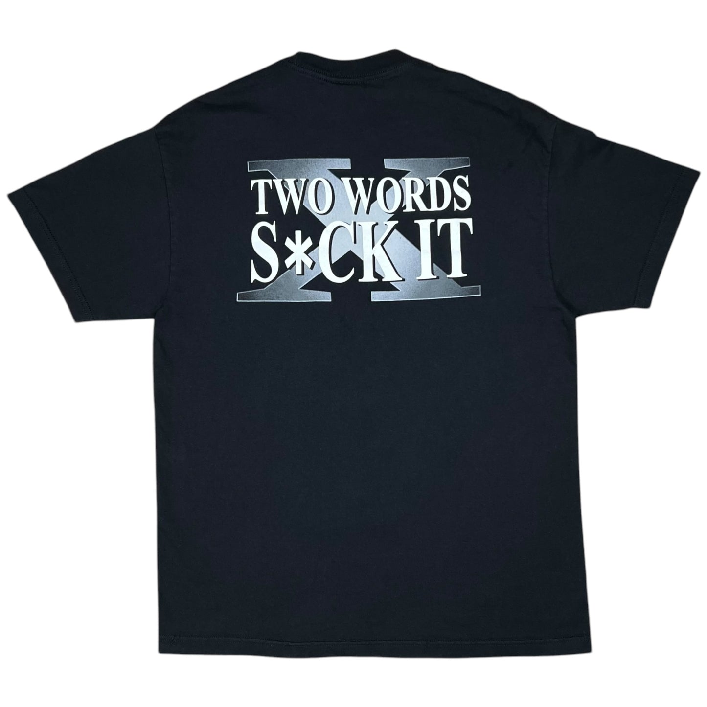 Vintage 2002 WWE D-GENERATION X TWO WORDS SUCK IT wrestling tee (L)
