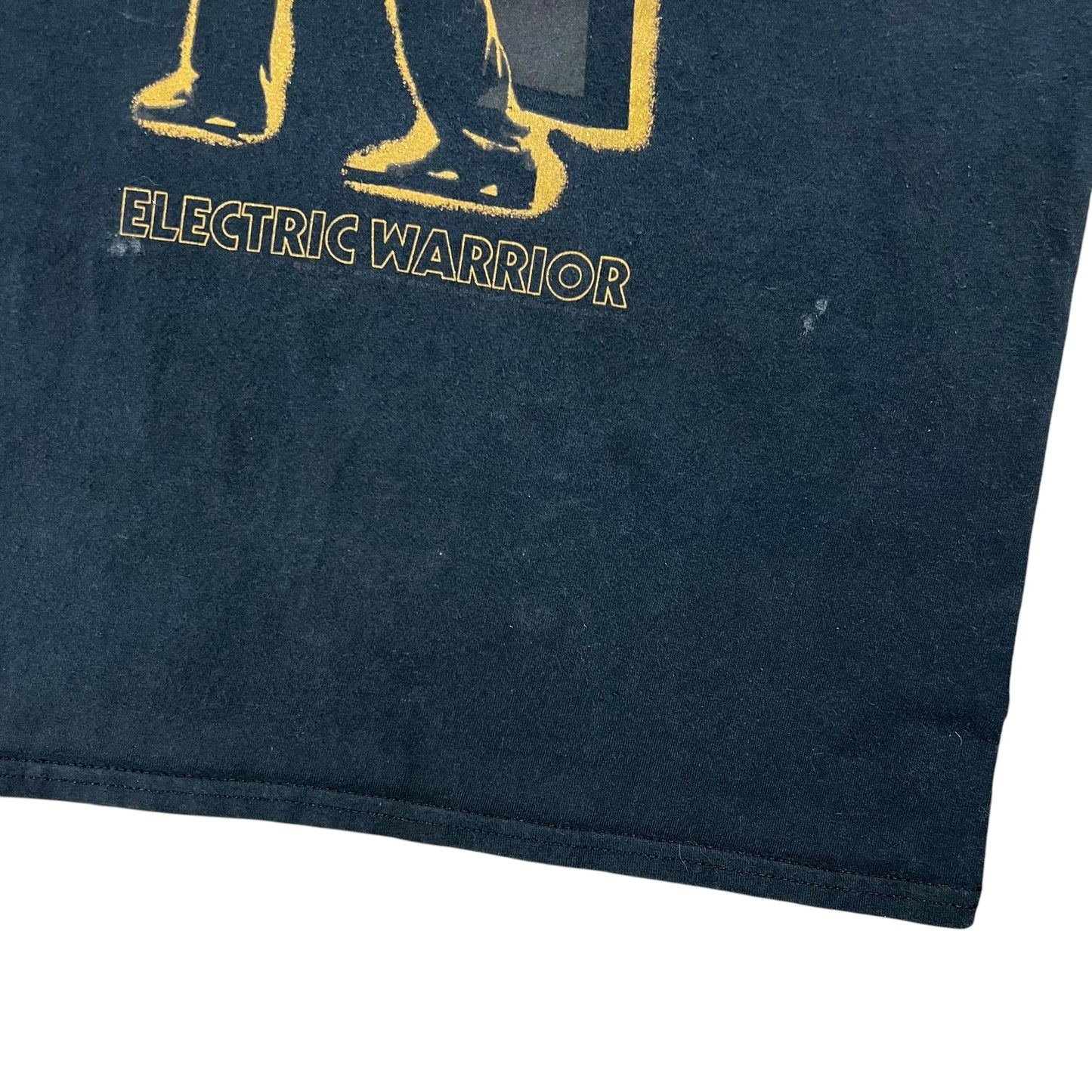 Vintage Y2K T. REX Electric Warrior faded band tee (M)
