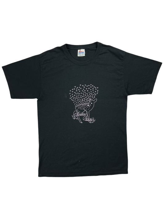 Vintage Y2K Hanes Slingshot Dakota faded band tee (M)