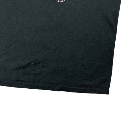 Vintage Y2K Hanes Slingshot Dakota faded band tee (M)