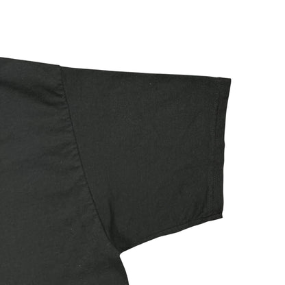 Vintage Y2K Hanes Slingshot Dakota faded band tee (M)